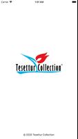 Tesettur Collection poster