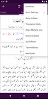 Tafseer Mufradat ul Quran تصوير الشاشة 3