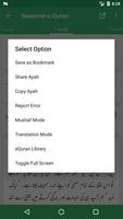 Tafseer Baseerat-e-Quran capture d'écran 2