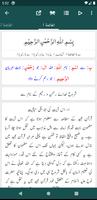 Tafseer Tadabbur-e-Quran تصوير الشاشة 1