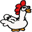 Chicken Bird