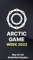 Arctic Game Affiche