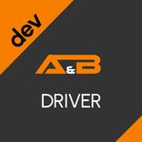 Driver Dev