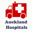 Auckland Hospitals