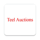 Teel Auctions ícone