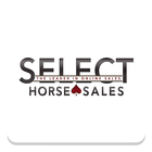 Select Online Horse Sales icône