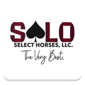 Select Online Horse Sales