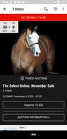 Select Online Horse Sales capture d'écran 1