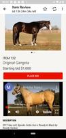 Select Online Horse Sales capture d'écran 2