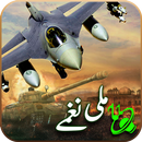Pakistani Mili Naghmay Offline APK