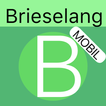 Brieselang-icoon