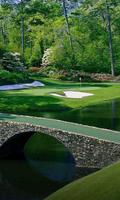 Augusta Wallpapers Screenshot 1