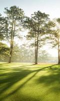Augusta Wallpapers Screenshot 3