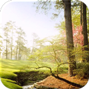 Augusta Wallpapers For Tablets APK