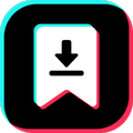 Tok Downloader