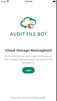 Audit File Box постер