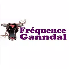 download Frequence Ganndal APK