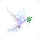 Voice of Selamna APK