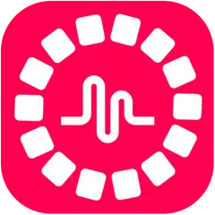 Musical Sound: Musically Video Player & Free Music APK download