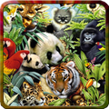 800 Tons de animais
