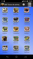 800 Best animals ringtones পোস্টার