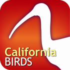 Audubon Bird Guide: California biểu tượng