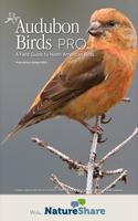 Audubon Bird Guide: California poster