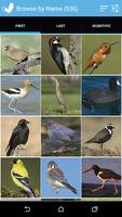 Audubon Bird Guide: California syot layar 3