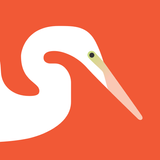 Audubon icono