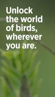 Audubon ポスター