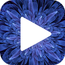 Audio And Video Player – All Format APK
