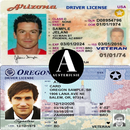 Driver's license APK