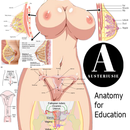 Sex History APK
