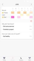 Introspect - Mood Tracker & Dr Ekran Görüntüsü 3