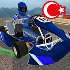 Türkiye Gokart Araba Yarışı : Hızlı arabalar icône