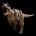 Dinos3D أيقونة