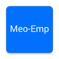 Meo - Raheja Associates