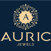 Jewelry Price Estimator APK