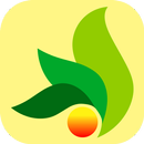 Roshan Nagar APK