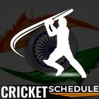 IPL Live Streming Cricket line icon