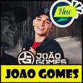 Joao Gomes - Musica