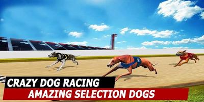 GREYHOUND DOG RACING SIMULATOR - DOG RUN capture d'écran 2