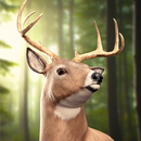 Deer Hunter 19: Hunting Sniper Game APK