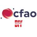 CFAO DIY Vehicle Valuation