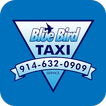 BLUE BIRD TAXI