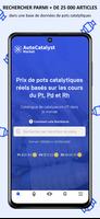 Auto Catalyst Affiche
