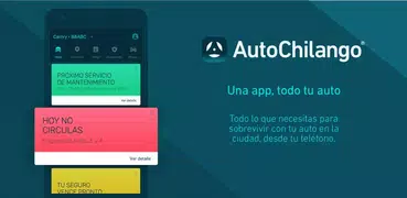 Auto Chilango