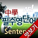 AE 중학필수영단어_Sentence_맛보기 APK