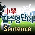 AE 중학필수영단어_Sentence icône
