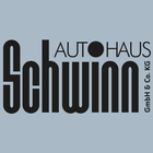 Autohaus Schwinn أيقونة